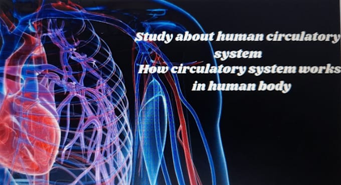 Gig Preview - Provide a knowledge about human circulatory system