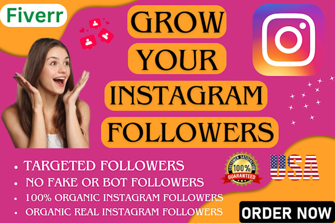 Gig Preview - Do your instagram page followers from usa 1000 number super fast