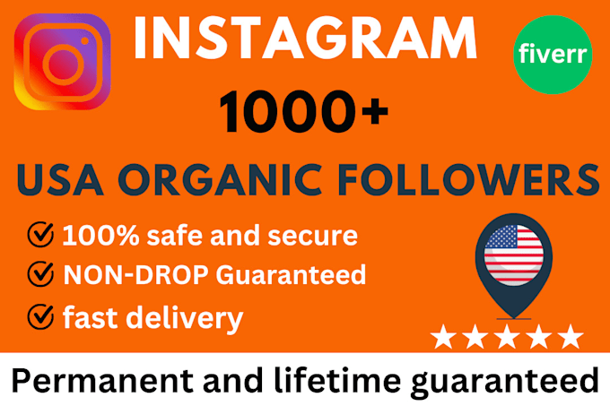 Gig Preview - Do your instagram page followers from usa 1000 number super fast