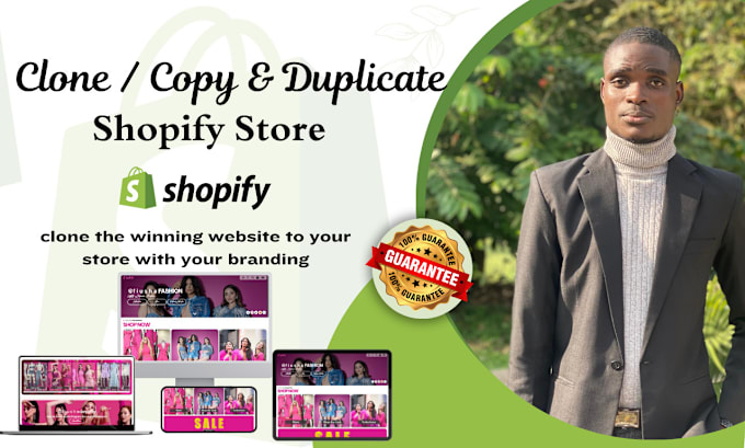 Gig Preview - Copy, clone, duplicate, edit, revamp design shopify store dropshipping website