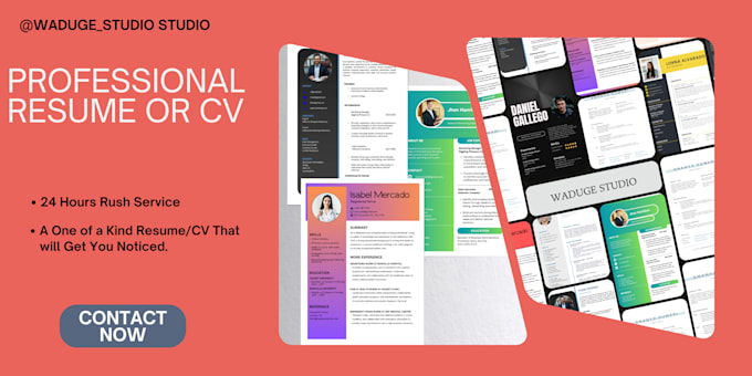 Bestseller - create a successful entry level professional resume