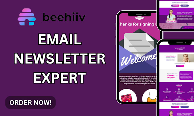 Gig Preview - Professionally setup manage beehiiv account beehiiv newsletter template