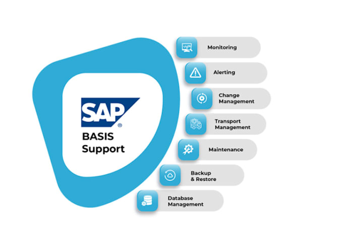 Gig Preview - Support sap system administration and I am certified hana consultant