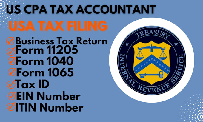 Gig Preview - Prepare your individual and business USA tax return