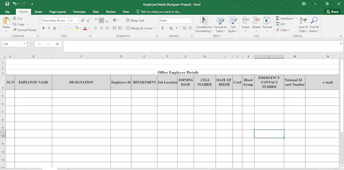 Gig Preview - Excel data entry, copy paste and web research