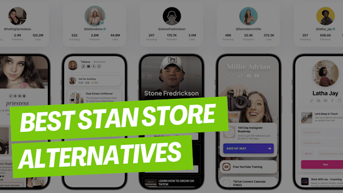 Gig Preview - Set up stan store digital product designs, create funnel and promote your store