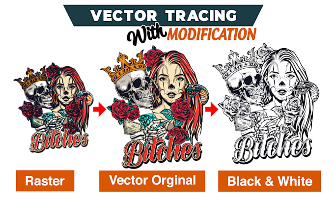 Gig Preview - Do best vector illustration, logo vector, vector tracing expert