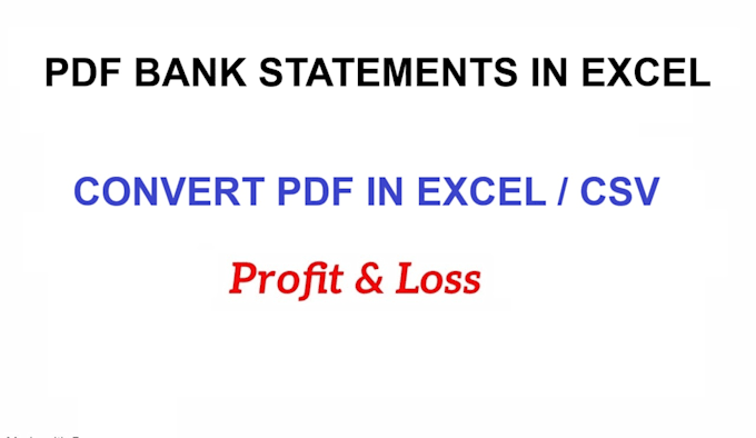 Gig Preview - Convert your pdf bank statement in excel, csv for tax bookkeeping