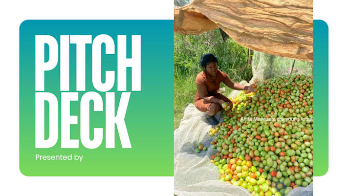 Gig Preview - Design an impactful pitch deck for your agriculture business