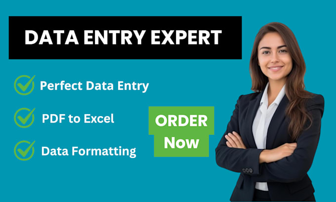 Gig Preview - Do precise data entry tasks, web research, copy and paste work, and excel data