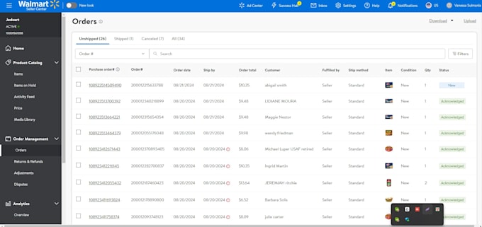 Gig Preview - 2 step walmart dropshipping full store management wfs expert