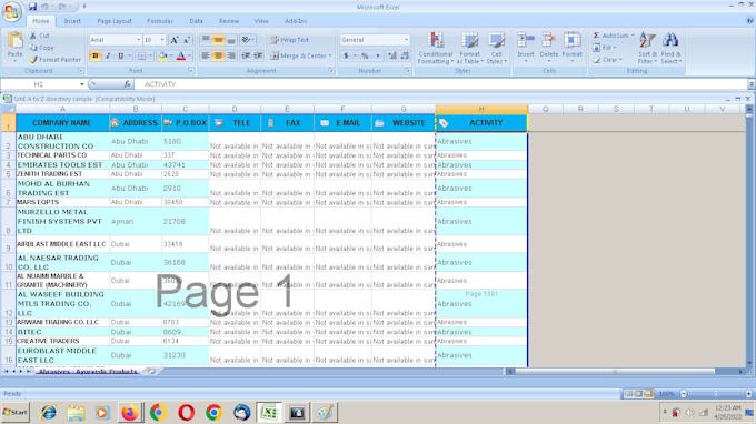 Gig Preview - Business directories of gcc countries in excel