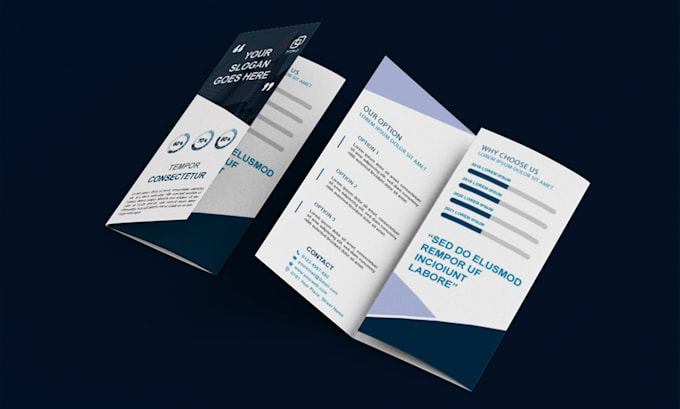 Gig Preview - Design a custom trifold and bifold brochure within 24 hours