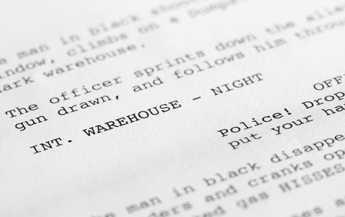 Gig Preview - Provide detailed notes on your screenplay