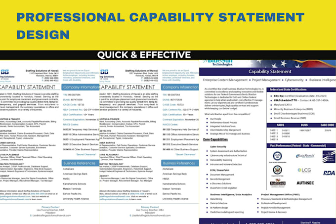 Bestseller - design a perfect capability statement for government contract within 24 hours