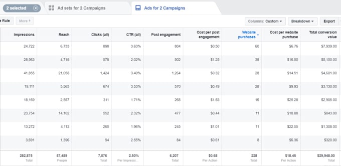 Gig Preview - Facebook ads campaign manager