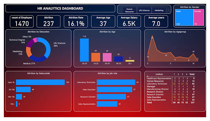 Gig Preview - Make excel and power bi dashboards