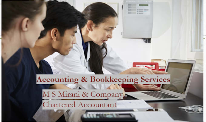 Gig Preview - Do accounting and bookkeeping