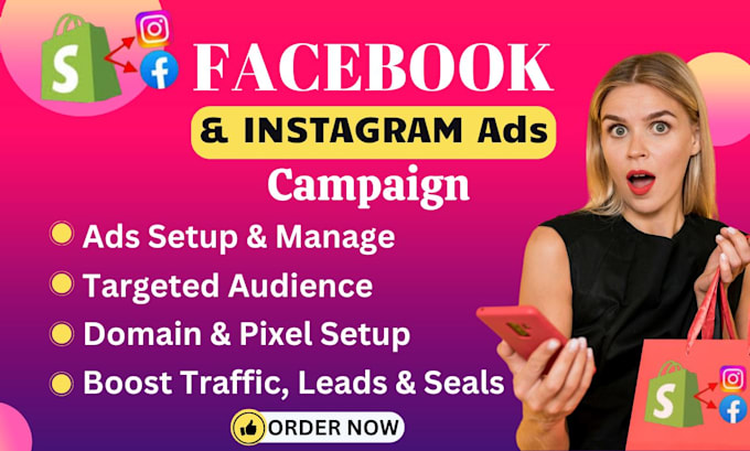 Gig Preview - Setup facebook and instagram ads campaign to sales and leads