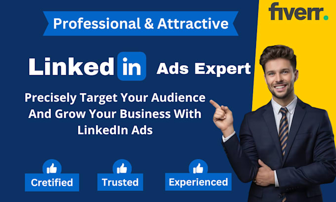 Gig Preview - Create targeted linkedin ads campaign