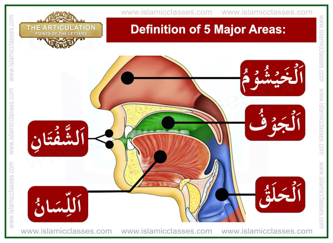 Gig Preview - Teach recitation of al quran, hifz ul quran, tajweed ul quran