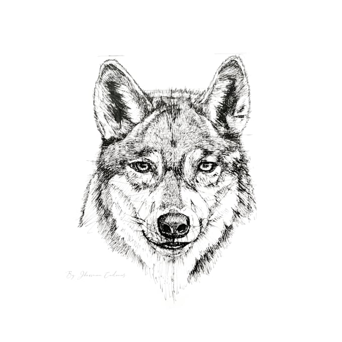 Gig Preview - Draw realistic hand drawn sketches of animals