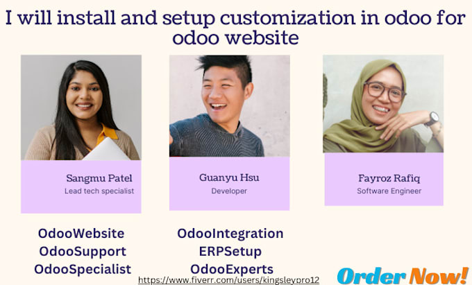 Gig Preview - Install and setup customization in odoo for odoo website