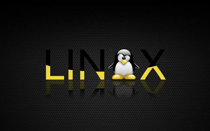 Gig Preview - Offer lessons for who needs to know the basics about linux and embedded linux