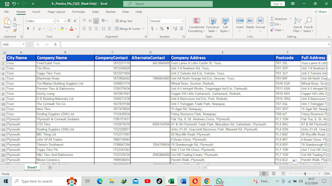 Gig Preview - Do professional data formating and cleansing services