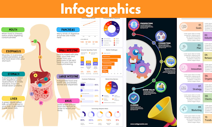 Gig Preview - Design business infographics  powerpoint presentation quickly