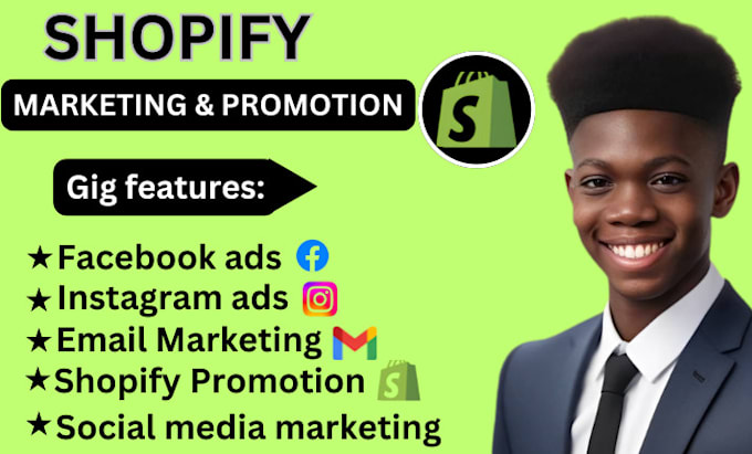 Gig Preview - Do shopify facebook ads, advertising, instagram ads campaign