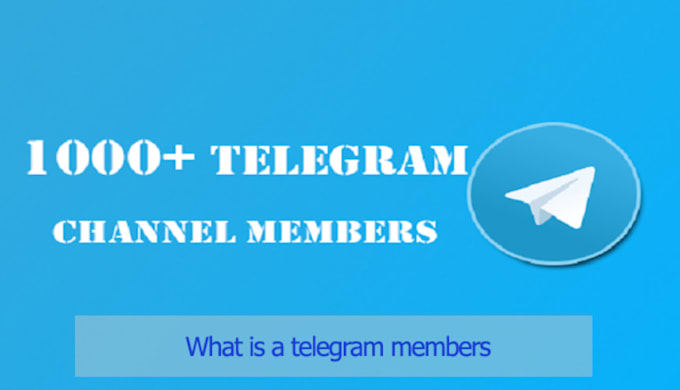 Gig Preview - Top rank your telegram subscriber USA group channel users,and add millions users