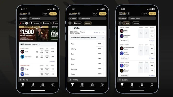 Gig Preview - Develop sport bet app like betmgm, bet365, fanduel, crypto sport bet app