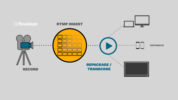 Gig Preview - Install rtmp and srt server or restreamer