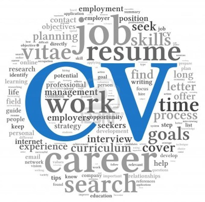 Gig Preview - Review and conduct in depth analysis of your CV