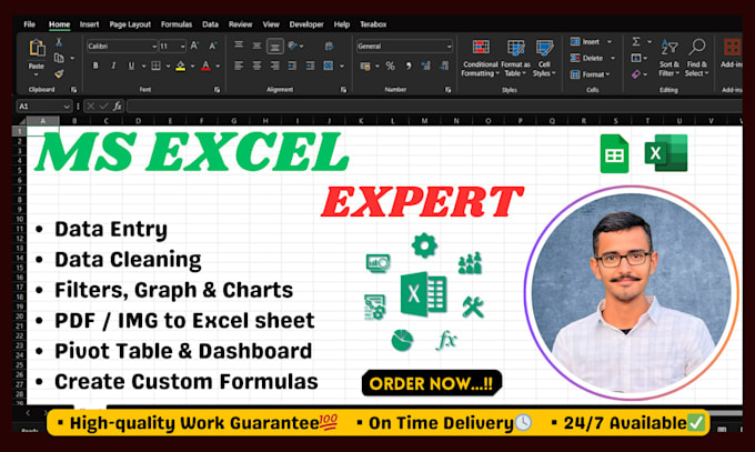 Gig Preview - Create dashboard, custom formulas, data entry, data cleaning