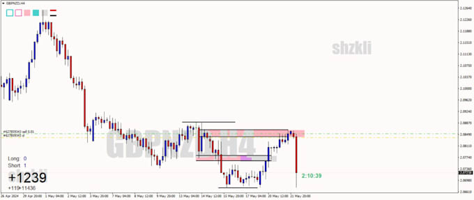 Gig Preview - Introducing to snr trading for forex, crypto, stock