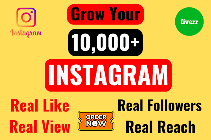 Gig Preview - Increase your instagram page followers from usa 1000 number super fast