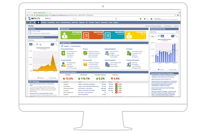 Gig Preview - Provide oracle netsuite support