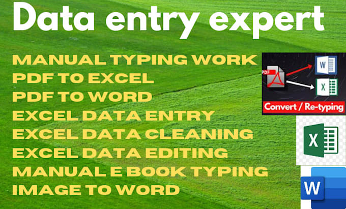 Bestseller - data entry cleaning in excel, word and manual typing work