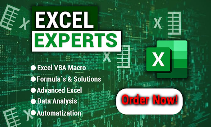 Gig Preview - Automate and visualize data with excel vba macro formulas functions