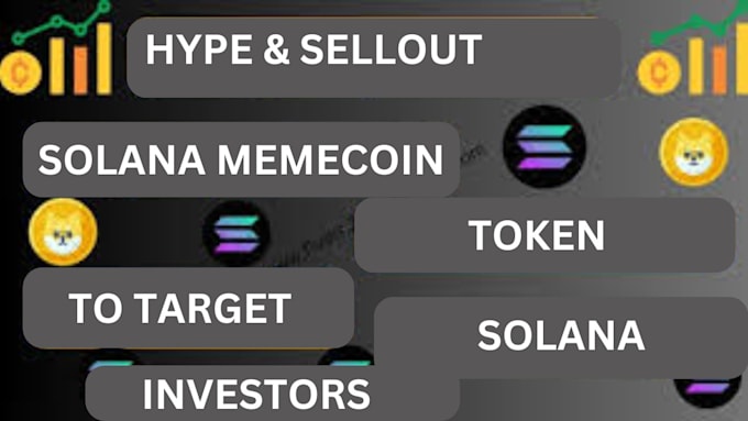 Bestseller - hype and sellout your solana meme coin token to targeted solana investor