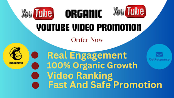 Gig Preview - Do email marketing campaign to viral youtube video promotion