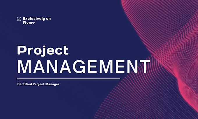 Gig Preview - Expertly manage your engineering projects