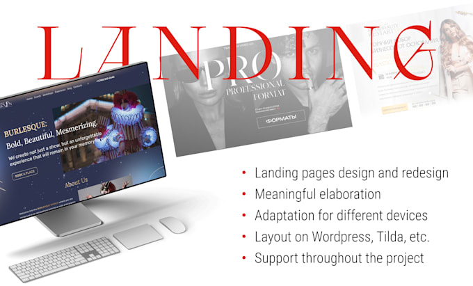 Gig Preview - Make a landing page that will get submissions quickly and efficiently