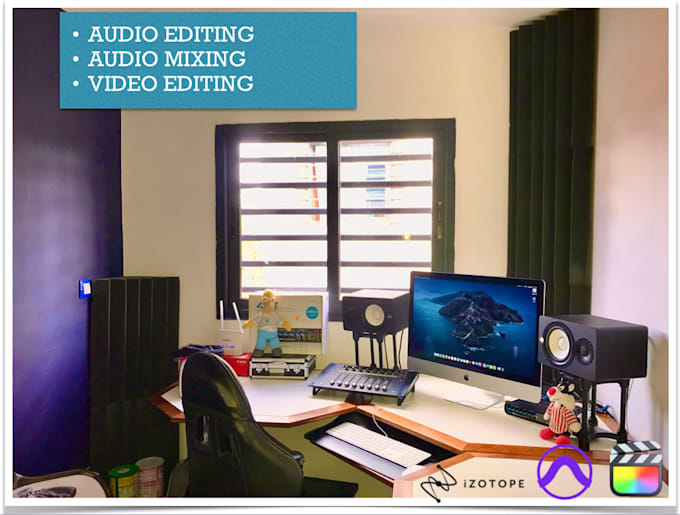 Bestseller - edit and improve your audio files or audio of your video