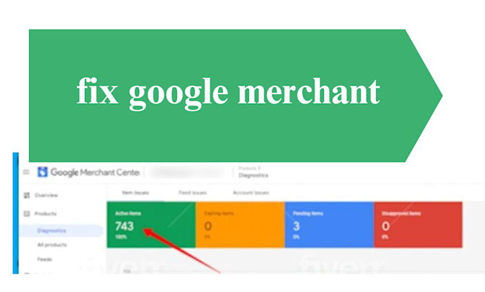 Gig Preview - Setup google merchant  fix merchant suspension, misrepresentation