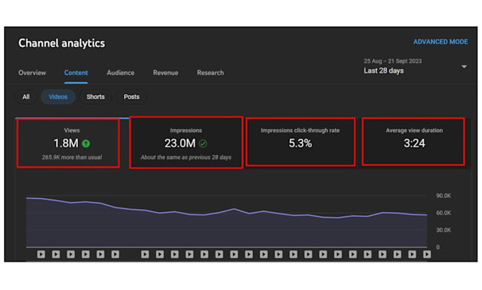 Gig Preview - Do youtube growth expert with SEO