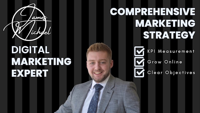 Gig Preview - Create a custom made marketing strategy for your business