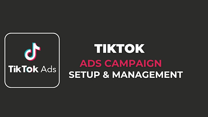 Gig Preview - Run tiktok ads, tiktok ads campaign, tiktok advertising